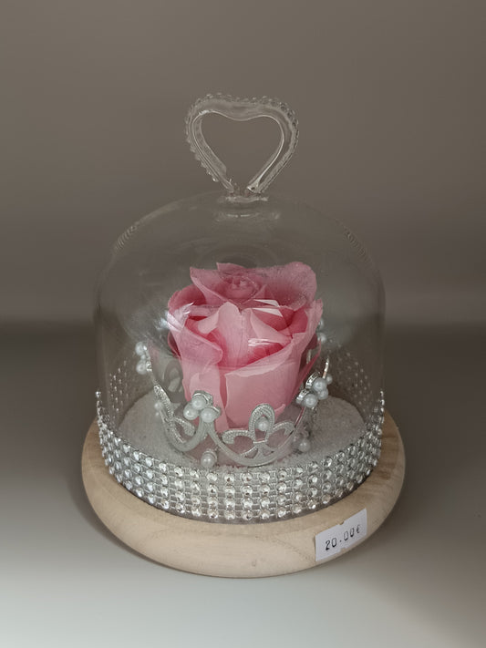 Cloche