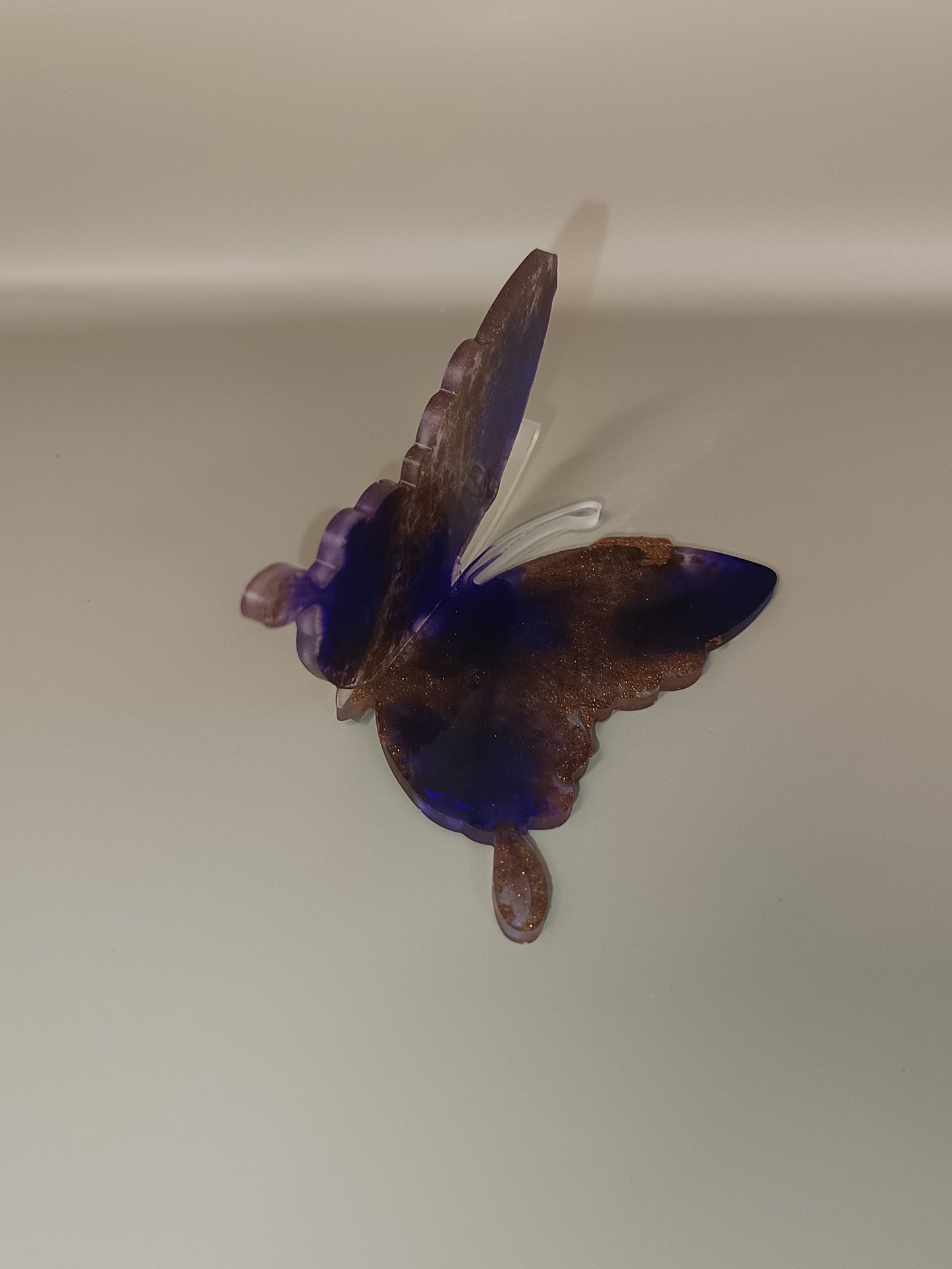 Papillon 3D
