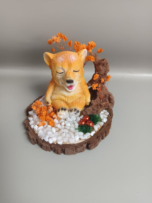 Petit Renard